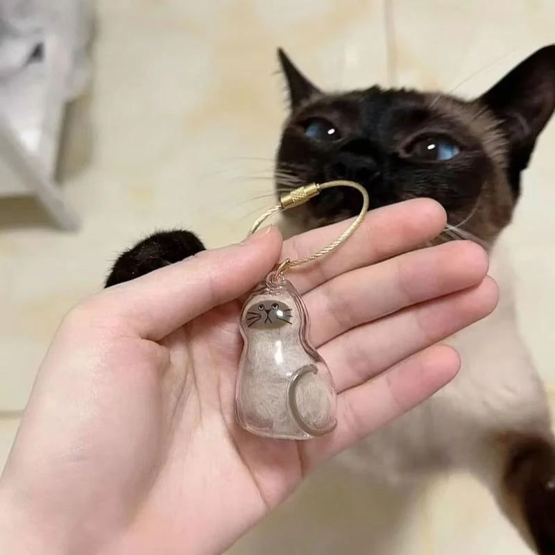 Recuerdo gato